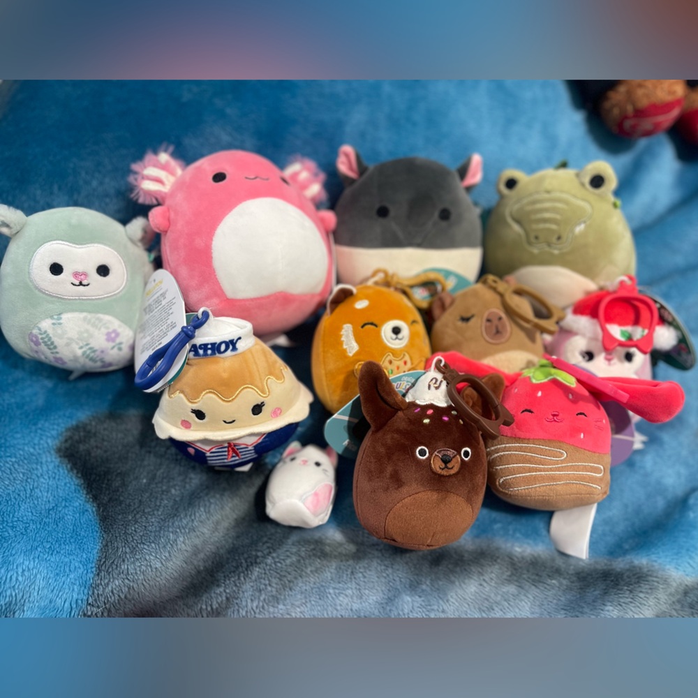 Lot of squishmallows